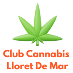 logo Club Cannabis Lloret De Mar - Coffee Shop Lloret De Mar