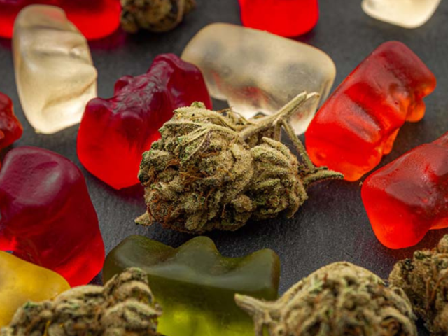 Edibles club cannabis Lloret de Mar