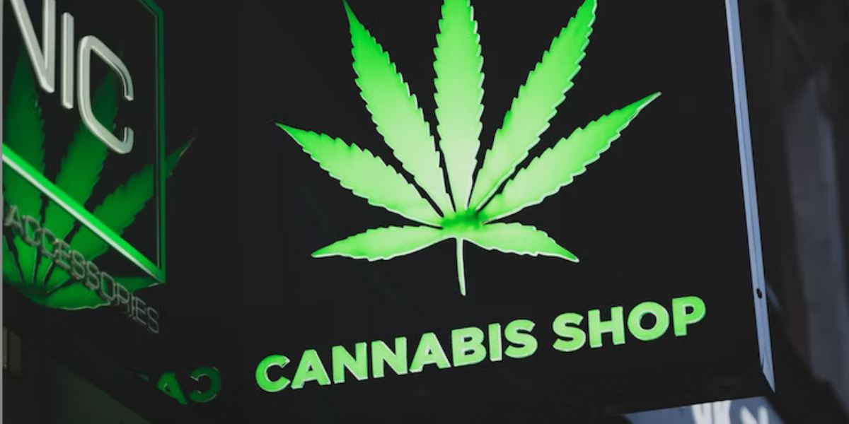 Ultime sélection cannabis clubs Lloret de Mar 2025