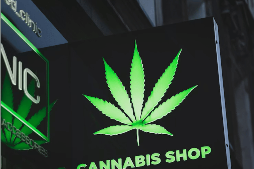 Club Cannabis à Lloret de Mar pour Français